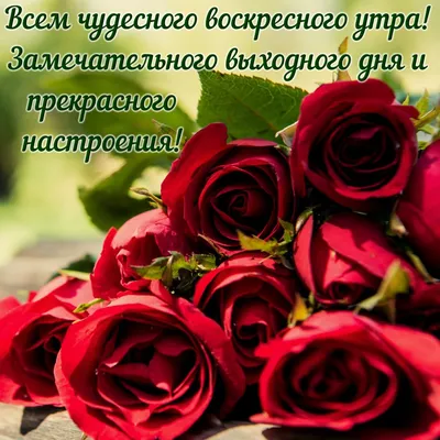 С добрым воскресным днем! 🌸 ✓️ Чтобы Бог был рядом с тобой – пойди, и будь  рядом с тем, кому плохо. | ВКонтакте