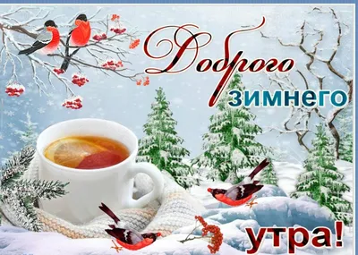 С добрым зимним утром! | Открытки, Поздравительные открытки, Доброе утро