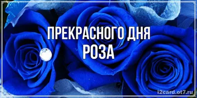 Кружка с именем Роза/Роза всегда права, кружка хамелеон, Кружка Роза/Роза  всегда права | AliExpress