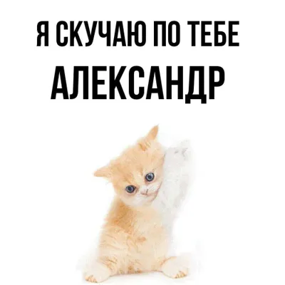 Ответы Mail.ru: Девушки!! А вам нравится мужское имя Саша , Александр????