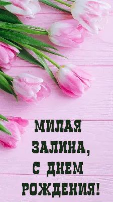 Ответ пользователю @zalina.vre #залина #залина💖💋 #поздравлениедевушк... |  TikTok