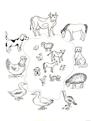 Чертежи мультфильма детей установили на тему сада с изображением животных и  растений фермы Иллюстрация вектора - иллюстрации насчитывающей конструкция,  мило: 142406797