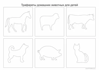 нечетная задача с изображением видов животных и континентов Иллюстрация  вектора - иллюстрации насчитывающей одно, рассогласовано: 218521331