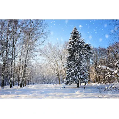 детей зима Outdoors снежная Стоковое Фото - изображение насчитывающей  женщина, сезонно: 17536702