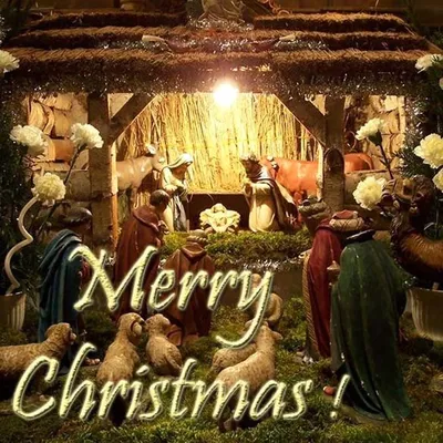 С Католическим Рождеством красивое видео поздравление✨❄️🎄 Открытка с  Рождеством Христовым!✨ - YouTube