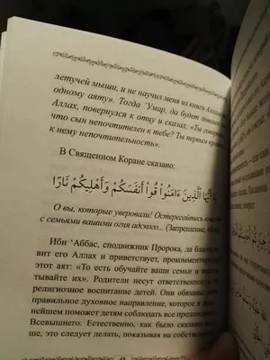 Наука подтверждает хадис о земле | islam.ru