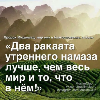 Свадьба. Счастливые лица молодых, белая зависть подруг невесты, радость  родителей, тосты гостей… | by Nargis Kosimova | Medium