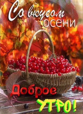 Картинки с добрым осенним утром и хорошим днем женщине (60 фото) » Картинки  и статусы про окружающий мир вокруг