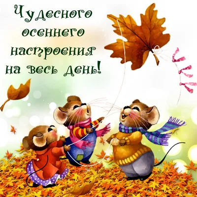 🌺🌿 ЯГОДКИ, ДОБРОЕ УТРО, ОТЛИЧНОГО ДНЯ! 🌿🌺 Пусть удачным будет день!  Радостным! Хорошим! Пусть не.. | ВКонтакте