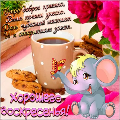 С Добрым Утром Воскресенья! 🌸☕️С Добрым Воскресным Днем! ХОРОШЕГО  НАСТРОЕНИЯ на весь день! - YouTube