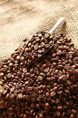 Черный кофе в окружении кофейными зернами Стоковое Изображение -  изображение насчитывающей плоско, эспрессо: 214285437