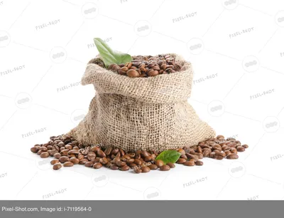 Коричневая кружка, наполненная кофейными зернами · Бесплатные стоковые фото