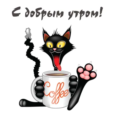 Агенство недвижимости - Доброе утро!  😅🐈🐈🐈❤️#кошатникипоймут#утроначинаетсяскота#коты#котики#кошки#люблюкошек# кошка#кот#кошкиправятмиром#безкотаижизньнета#кошкитакиекошки#кошкамоя#🐈#🐾  | Facebook