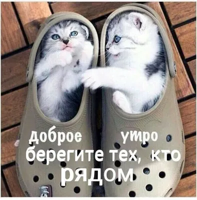 С добрым утром пятницы! | Смешные открытки, Доброе утро, Милые котики