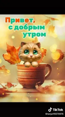 Доброе утро!\" картина акварелью (кошки, животные) купить в  интернет-магазине Ярмарка Мастеров по цене 2700 ₽ – T8Q4IBY | Картины,  Корсаков - доставка по России