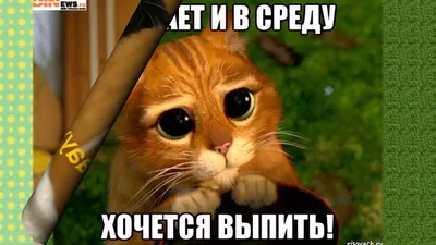 Картинки \"С Добрым Утром и Хорошего Дня!\" (256 шт.)
