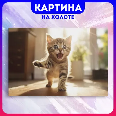 Картина на холсте Смешные коты забавный кот животные (4) 60х80 см - купить  по низкой цене в интернет-магазине OZON (1165568775)