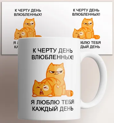 Смешные картинки с котами и надписями для поднятия настроения бесплатно
