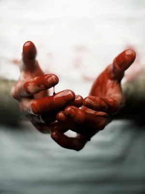 Хэллоуин ладони кровь фон, отпечаток руки, красный, Капля крови фон  картинки и Фото для бесплатной загрузки