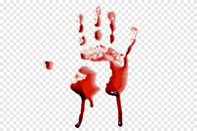 Сердце Кровь Рука Анатомия, сердце, Обои для рабочего стола, Рука, Модель  руки png | Klipartz