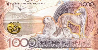 Открыт мощный канал денег\": 3 знака зодиака плотно набьют кошелек купюрами  в эти 4 дня - UssurMedia.ru