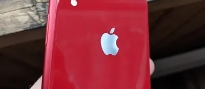 Чехол с логотипом The North Face, на iPhone (Айфон) 11, 13, 14, 7, 8 Plus,  X, XS, XR, 12 Pro, Max, Plus купить по цене 199 ₽ в интернет-магазине  KazanExpress