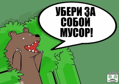 Напавший на мужчину и закопавший его труп медведь напал еще на троих  человек в Магадане / VSE42.RU - информационный сайт Кузбасса.