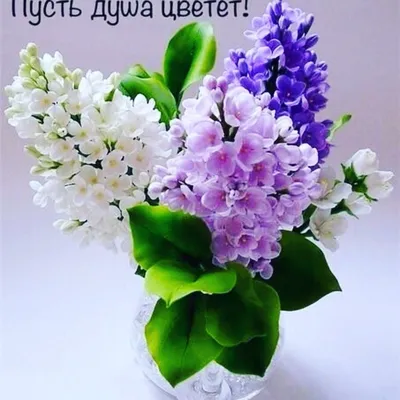 🌺 14 мая - Международный день матери! Поздравляем всех мамочек! Будьте  здоровы, любимы и счастливы!.. | ВКонтакте
