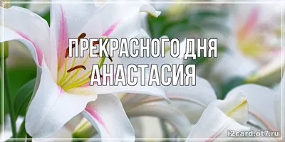 Открытка с именем Анастасия Я скучаю по тебе. Открытки на каждый день с  именами и пожеланиями.