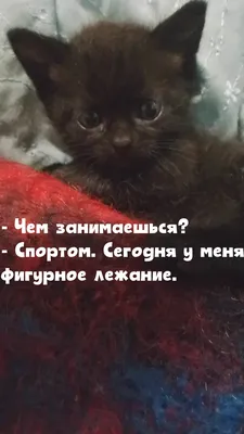 Позитив - @borscha | Facebook