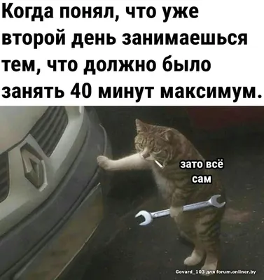 Как получать просмотры, если вы не Илон Макс? Проанализировал новые  алгоритмы Хабр, VC и Пикабу / Хабр