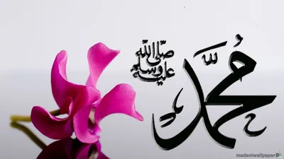 Тайна надписи на перстне Пророка ﷺ | muslim.kz