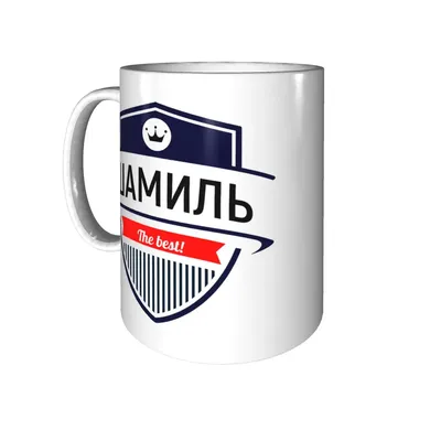 Футболка мужская белая 44 р-р шамиль всегда прав 1 - купить в Москве, цены  на Мегамаркет