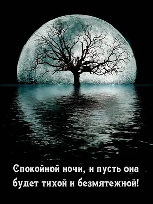 Картинка с пожеланием спокойной ночи и собачкой | Скачать бесплатно | Ночь,  Открытки, Спокойной ночи