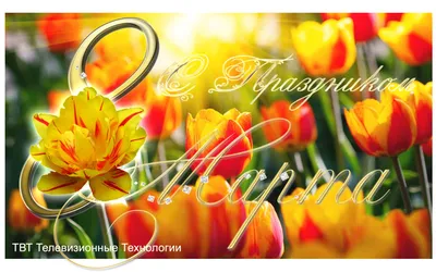 Красивая открытка с наступающим 8 марта, с тюльпанами • Аудио от Путина,  голосовые, музыкальные
