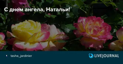 Поздравляем с Днем рождения наших именинников: Людмила Тимофеева, София  Филиппова, Инна Кулиш, Ольга Колюпанова,.. | ВКонтакте