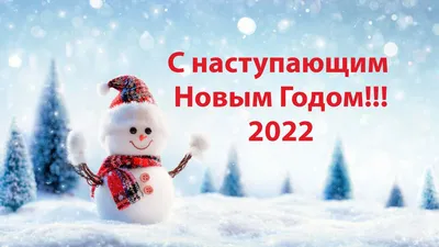 Новый год-2022 в Петербурге: Полная программа празднования | ОБЩЕСТВО | АиФ  Санкт-Петербург