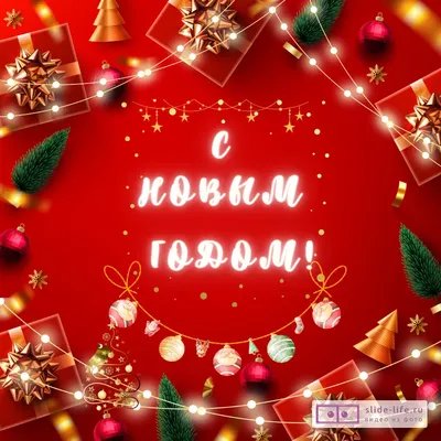 Поздравление с Новым годом и Рождеством временно исполняющего обязанности  директора Департамента здравоохранения Курганской области Алексея Сигидаева
