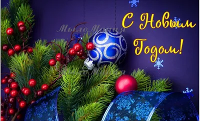Поздравление с Новым годом и Рождеством Христовым | Мариинско-Посадский  муниципальный округ Чувашской Республики