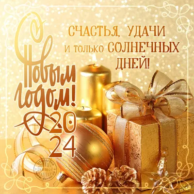 Поздравляем с наступающим Новым годом и Рождеством! — СУНЦ МГУ