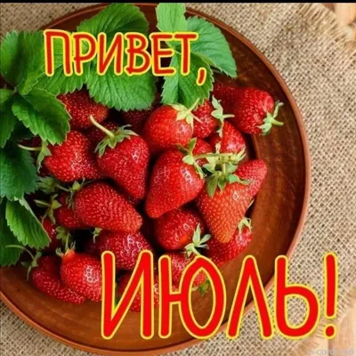 С первым днём июля! | Школа 4.дети | ВКонтакте