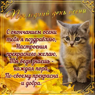 Мудрая бабулечка | Facebook