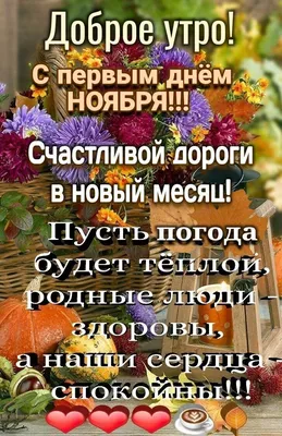 С первым днём ноября!🥰🥰🥰 #спервымднемноября #ноябрь #счастливогоноя... |  TikTok