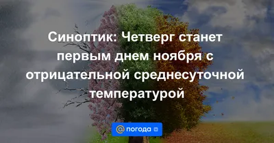 Красивые картинки и открытки с первым днем ноября