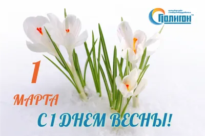 Полигон поздравляет вас с первым днем Весны! | Новости ГК Полигон