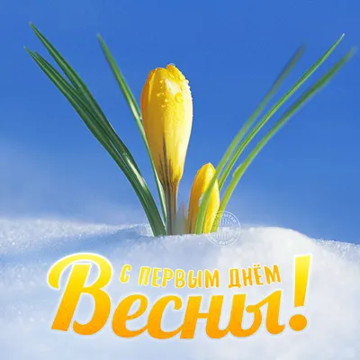 Поздравления с 1 марта Поздравление с первым днем весны Поздравляем с первым  весенним днём - YouTube