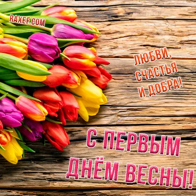 Поздравления на первый день весны! С 1 марта! | Весна, Милые открытки,  Праздник