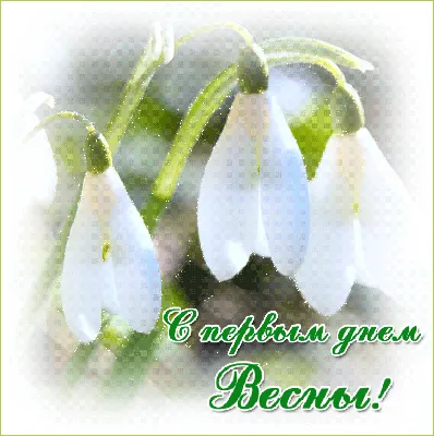 Картинки с первым днем весны маме (41 фото) » Красивые картинки,  поздравления и пожелания - Lubok.club