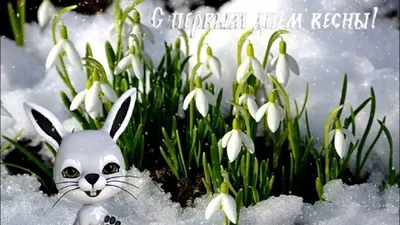 С Первым днем Весны! — «Заволжские степи», новости Краснопартизанского  района