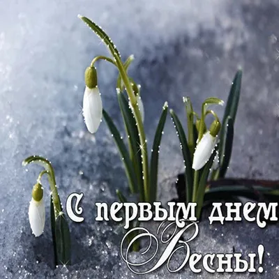 Открытки про весну, весенние гифки - скачайте бесплатно на Davno.ru